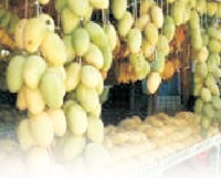 Guimaras mangoes